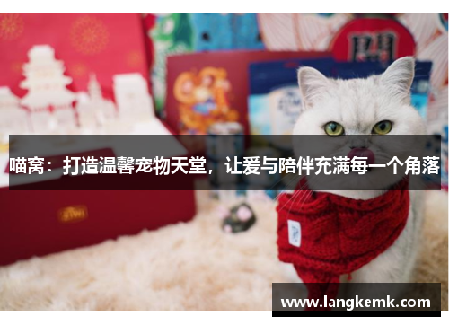 喵窝：打造温馨宠物天堂，让爱与陪伴充满每一个角落
